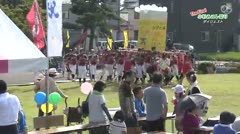 小杉みこし祭り（2016-2） 