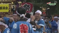 小杉みこし祭り（2016-4） 