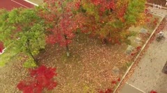 色彩の秋・小杉市街 