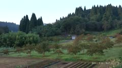 馬洗い池周辺 