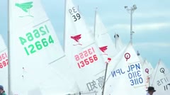 風をつかめ2025 射北中学校ヨット部 