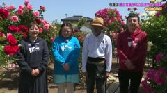 令和8年6月1日～放送 